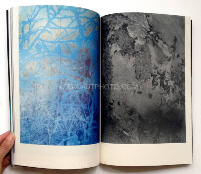 Daisuke Yokota,IMMERSE (Signed) Daisuke Yokota,IMMERSE (Signed)