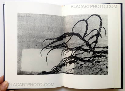 Robin Maddock, III (Signed) Robin Maddock, III (Signed)