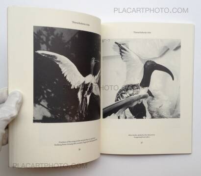 Joan Fontcuberta ,Dr. Ameisenhaufen's Fauna Joan Fontcuberta ,Dr. Ameisenhaufen's Fauna