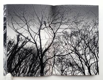 Maki,Gûyu - Allegory (SPECIAL EDITION WITH PRINT) Maki,Gûyu - Allegory (SPECIAL EDITION WITH PRINT)