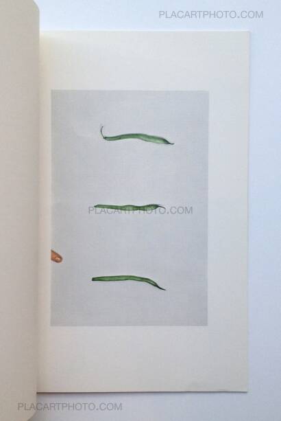 John Baldessari,Choosing : Green Beans John Baldessari,Choosing : Green Beans
