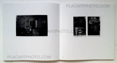 Algirdas Šeškus,Grey, but not Grey Algirdas Šeškus,Grey, but not Grey