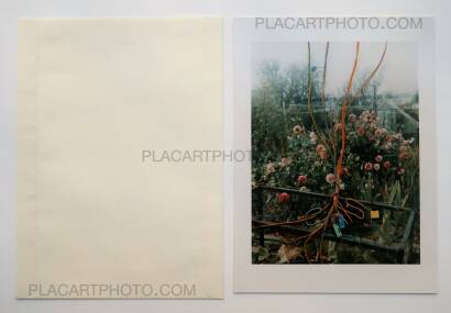 Stephen Gill,Hackney Flowers (LTD & SIGNED WITH PRINT) Stephen Gill,Hackney Flowers (LTD & SIGNED WITH PRINT)