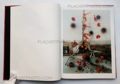 Stephen Gill,Hackney Flowers (LTD & SIGNED WITH PRINT) Stephen Gill,Hackney Flowers (LTD & SIGNED WITH PRINT)