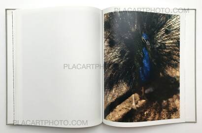 Gregory Halpern,A Gregory Halpern,A