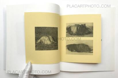 Ruth van Beek,The Hibernators (Limited to 200 copies) Ruth van Beek,The Hibernators (Limited to 200 copies)