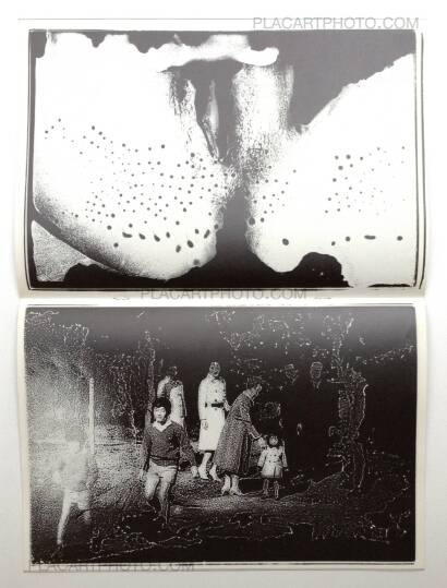Nobuyoshi Araki,Shukei Nobuyoshi Araki,Shukei
