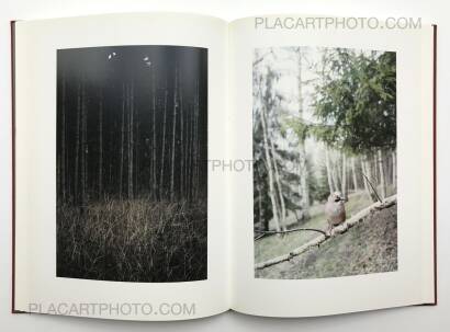 Jitka Hanzlova,Forest Jitka Hanzlova,Forest
