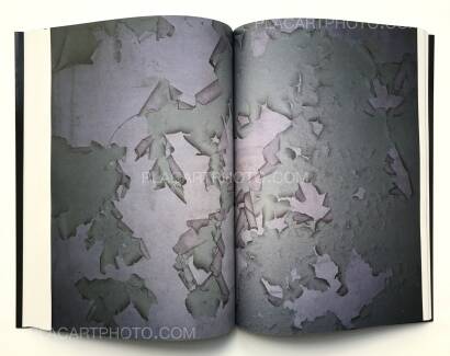 Georg Zinsler,The Sentinel Script (SIGNED) Georg Zinsler,The Sentinel Script (SIGNED)