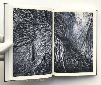 Helfried Valenta,Light shadow movement (ONLY 100 COPIES - SIGNED) Helfried Valenta,Light shadow movement (ONLY 100 COPIES - SIGNED)