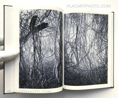 Helfried Valenta,Light shadow movement (ONLY 100 COPIES - SIGNED) Helfried Valenta,Light shadow movement (ONLY 100 COPIES - SIGNED)