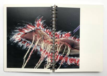 Yanchu Sun,Ficciones (Signed) Yanchu Sun,Ficciones (Signed)