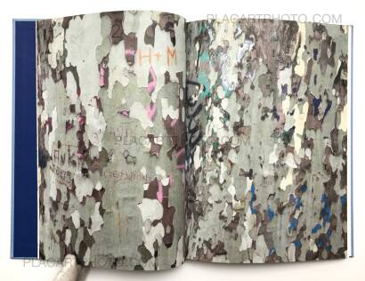 Viviane Sassen,Roxane Viviane Sassen,Roxane