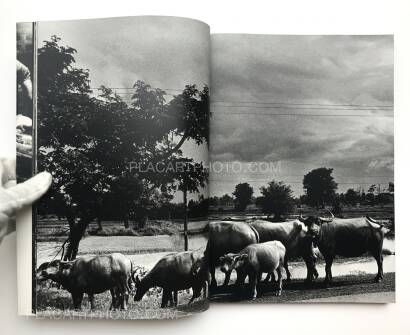 Daido Moriyama,The Tropics (SIGNED) Daido Moriyama,The Tropics (SIGNED)