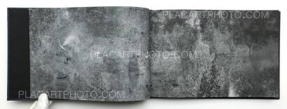 Eva Saukane,Roots (SIGNED) Eva Saukane,Roots (SIGNED)