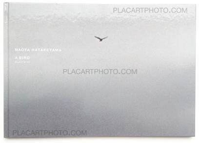 Naoya Hatakeyama,A Bird : Blast # 130 Naoya Hatakeyama,A Bird : Blast # 130