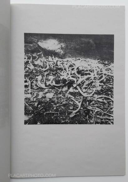 Ivan Alechine,Detalles secundarios / Details secondaires (ONLY 100 COPIES - SIGNED) Ivan Alechine,Detalles secundarios / Details secondaires (ONLY 100 COPIES - SIGNED)