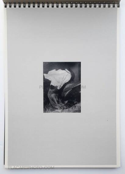 Daisuke Yokota,TEIKAI (Wandering at midnight)