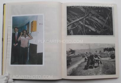 Collective,The cow and the orchid : generic colombian photography Collective,The cow and the orchid : generic colombian photography