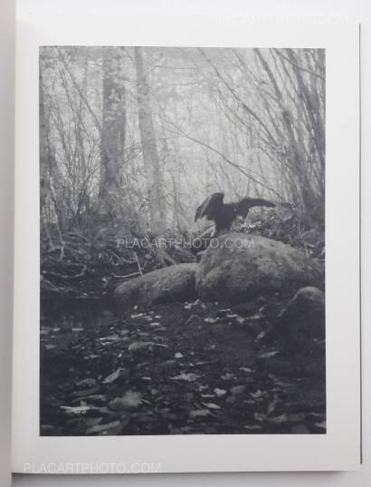 Stephen Gill,Night procession (SIGNED) Stephen Gill,Night procession (SIGNED)