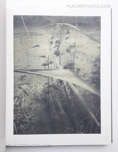 Stephen Gill,Night procession (SIGNED) Stephen Gill,Night procession (SIGNED)