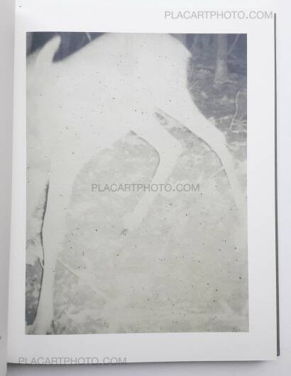 Stephen Gill,Night procession (SIGNED) Stephen Gill,Night procession (SIGNED)