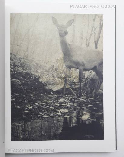 Stephen Gill,Night procession (SIGNED) Stephen Gill,Night procession (SIGNED)