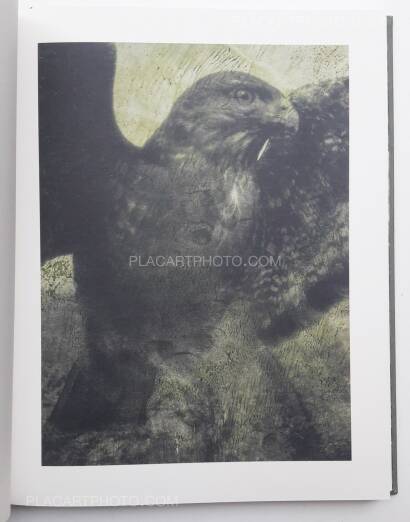 Stephen Gill,Night procession (SIGNED) Stephen Gill,Night procession (SIGNED)