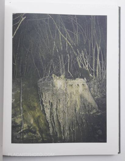 Stephen Gill,Night procession (SIGNED) Stephen Gill,Night procession (SIGNED)