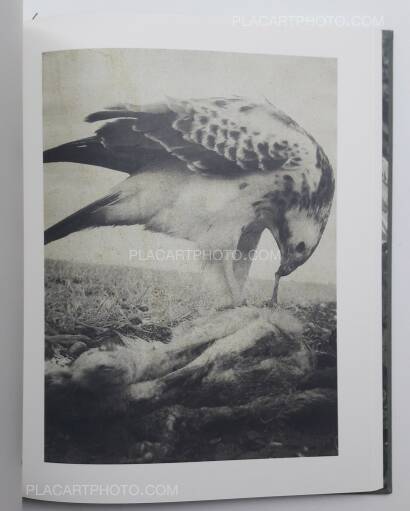 Stephen Gill,Night procession (SIGNED) Stephen Gill,Night procession (SIGNED)