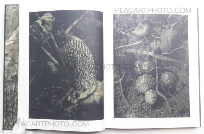 Stephen Gill,Night procession (SIGNED) Stephen Gill,Night procession (SIGNED)