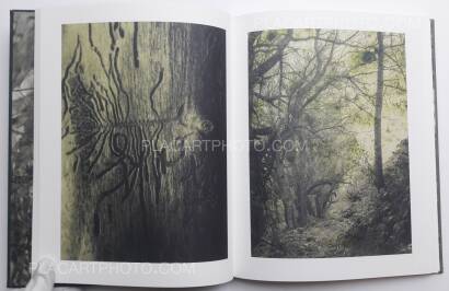 Stephen Gill,Night procession (SIGNED) Stephen Gill,Night procession (SIGNED)