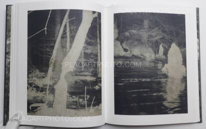 Stephen Gill,Night procession (SIGNED) Stephen Gill,Night procession (SIGNED)