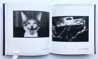 Masahisa Fukase,Afterword Masahisa Fukase,Afterword