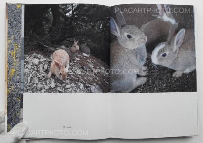 Yoshikatsu Fujii,Hiroshima Graph : Rabbits abandon their children (ONLY 72 COPIES - SIGNED) Yoshikatsu Fujii,Hiroshima Graph : Rabbits abandon their children (ONLY 72 COPIES - SIGNED)