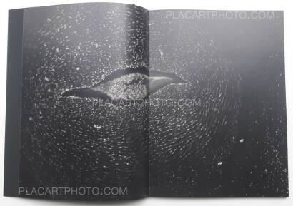 Constantin Schlachter,La Trajectoire du Gyrovague (ONLY 70 COPIES WITH A PRINT) Constantin Schlachter,La Trajectoire du Gyrovague (ONLY 70 COPIES WITH A PRINT)