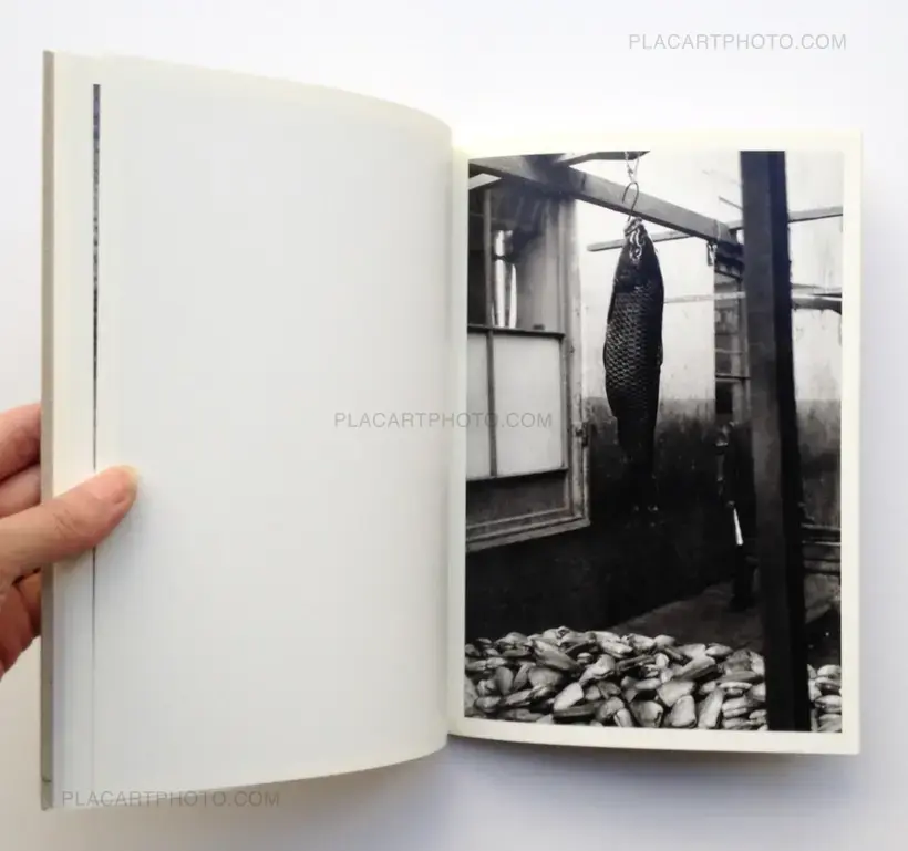 Sergio Larrain - Valparaiso, Éditions Hazan, 1991, Paris, book/photobook Sergio Larrain - Valparaiso, Éditions Hazan, 1991, Paris, book/photobook