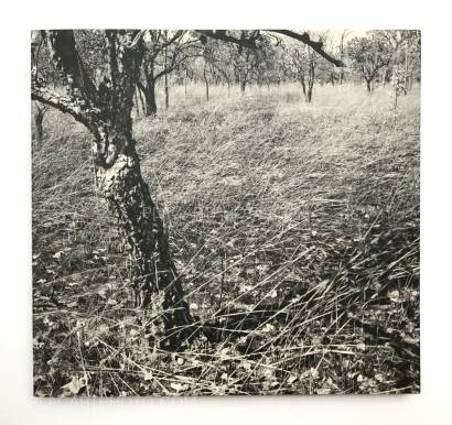 Jo Ractliffe,As Terras do Film do Mundo (SIGNED) Jo Ractliffe,As Terras do Film do Mundo (SIGNED)