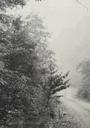 William Gedney,Iris Garden