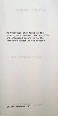 Julião Sarmento – 95 Polaroids SX70