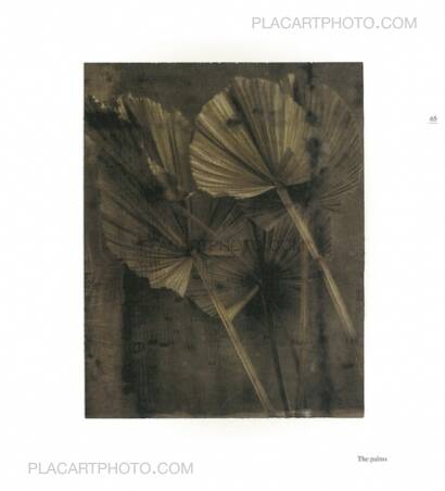 Sarah Moon,FROM ONE SEASON TO ANOTHER (SIGNED) Sarah Moon,FROM ONE SEASON TO ANOTHER (SIGNED)