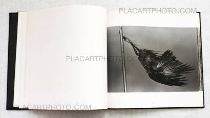 Masahisa Fukase,Karasu / Raven (Inscribed) + Envelope + Vintage print (Signed) Masahisa Fukase,Karasu / Raven (Inscribed) + Envelope + Vintage print (Signed)