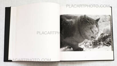 Masahisa Fukase,Karasu / Raven (Inscribed) + Envelope + Vintage print (Signed) Masahisa Fukase,Karasu / Raven (Inscribed) + Envelope + Vintage print (Signed)