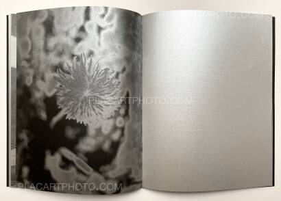 Dan Commons,No Silver Bird (WITH A PRINT Signed edt of 100) Dan Commons,No Silver Bird (WITH A PRINT Signed edt of 100)