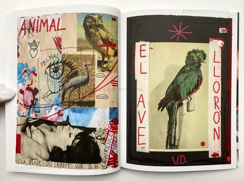 Vincent Delbrouck – SHARON STONE LA VIE DES ANIMAUX - VOL.1 (Signed copy)