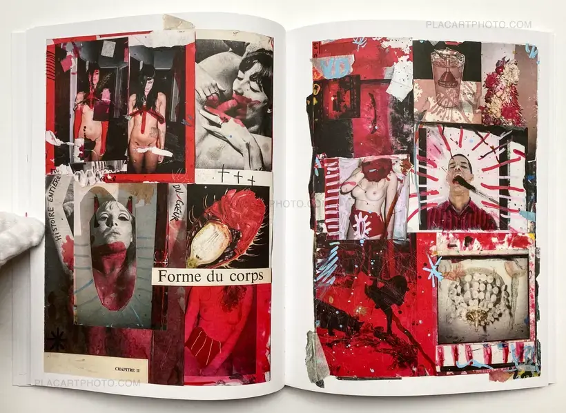Vincent Delbrouck – SHARON STONE LA VIE DES ANIMAUX - VOL.1 (Signed copy)