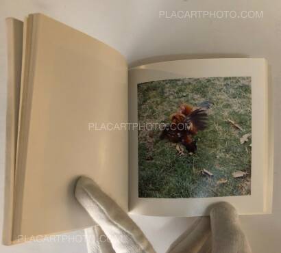 Sol Lewitt,Cock Fight Dance Sol Lewitt,Cock Fight Dance
