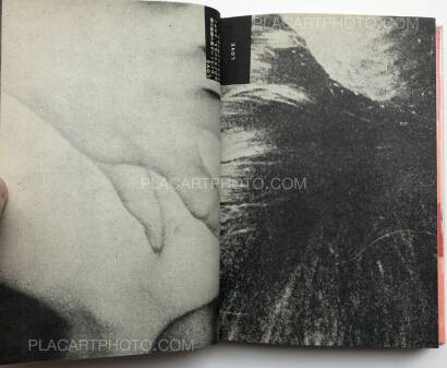 Takahiko Iimura,THE FILMS OF TAKAHIKO IIMURA Takahiko Iimura,THE FILMS OF TAKAHIKO IIMURA