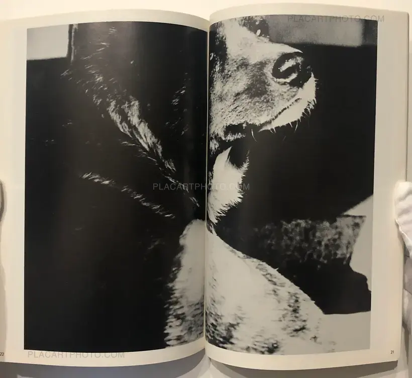 Collective – Chihei Vol.7