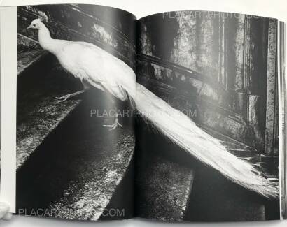Joakim Kocjancic,Europea (Signed) Joakim Kocjancic,Europea (Signed)